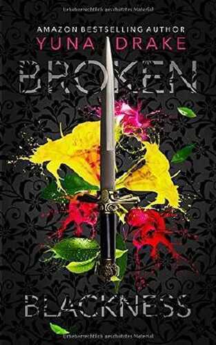 BROKEN Blackness: Kein Liebesroman (No., Band 1)