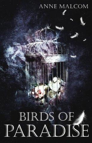 Birds of Paradise — Anne Malcom