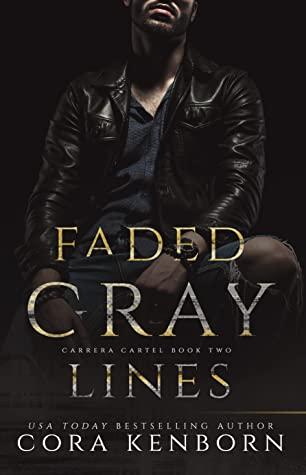 Faded Gray Lines