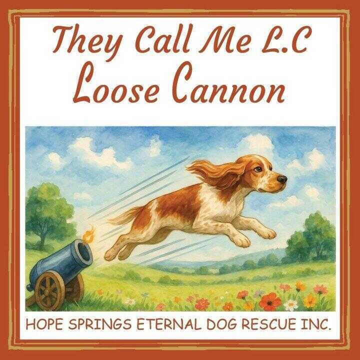 They Call Me L.C. Loose Cannon