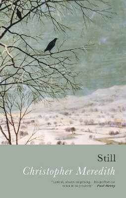 Still