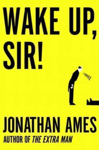 Wake Up, Sir!