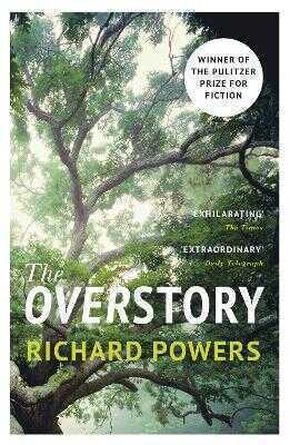 Overstory