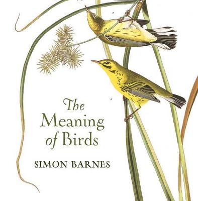 Meaning of Birds