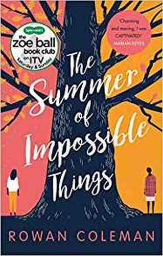 Summer of Impossible Things