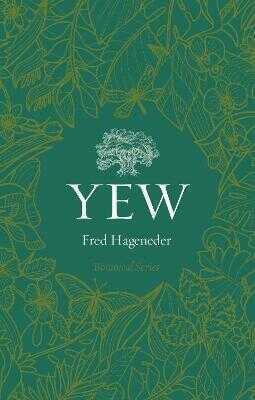 Yew