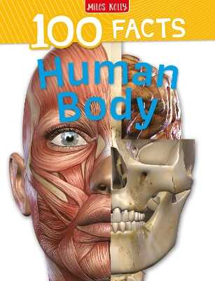 Human Body
