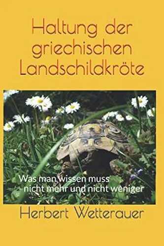 Haltung der griechischen Landschildkröte: Was man wissen muss - nicht mehr und nicht weniger