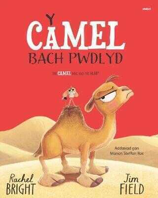 Y Camel Bach Pwdlyd / The Camel who had the hump