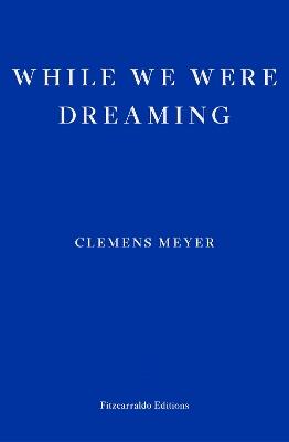 While We Were Dreaming