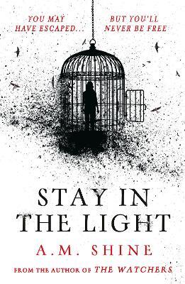 Stay in the Light