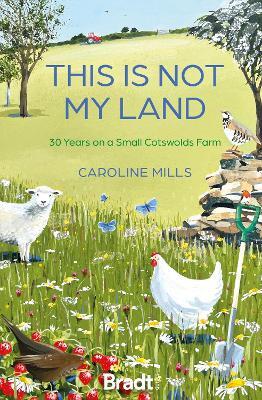 This is not my land