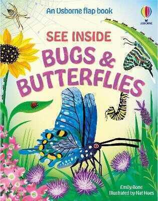 See Inside Bugs and Butterflies