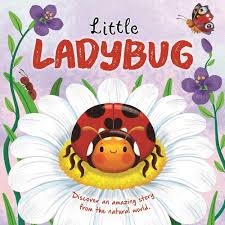 Little Ladybug