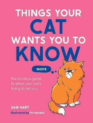 Things Your Cat Wants You to Know