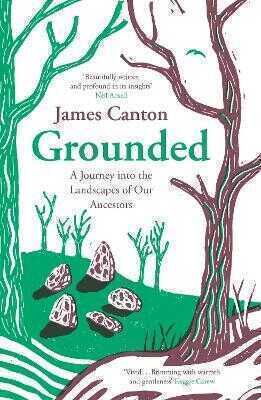 Grounded