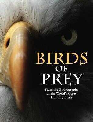 Birds of Prey