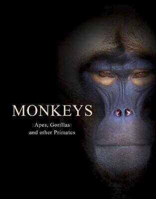 Monkeys