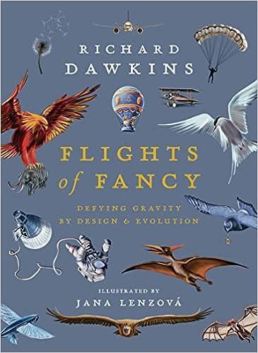 Flights of Fancy