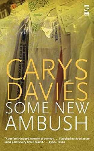 Some New Ambush (Salt Modern Fiction)