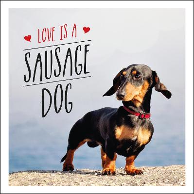 Love Is a Sausage Dog