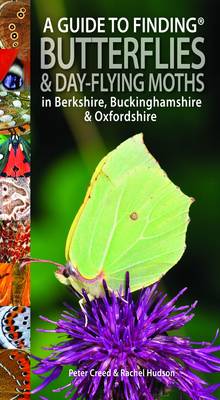 Guide to Finding Butterflies and Day-Flying Moths in Berkshire, Buckinghamshire and Oxfordshire