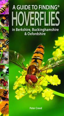 Guide to Finding Hoverflies in Berkshire, Buckinghamshire and Oxfordshire