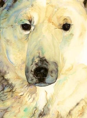 Ice Bear, The - Artist Edition