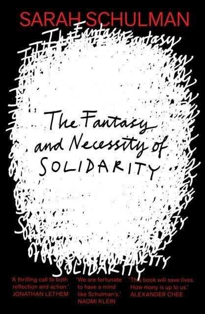 The Fantasy and Necessity of Solidarity