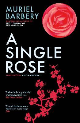 Single Rose