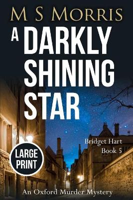 Darkly Shining Star (Large Print)