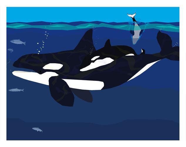 Puget Sound Orca Mother and Baby Art Print 11X14