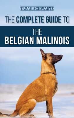 Complete Guide to the Belgian Malinois