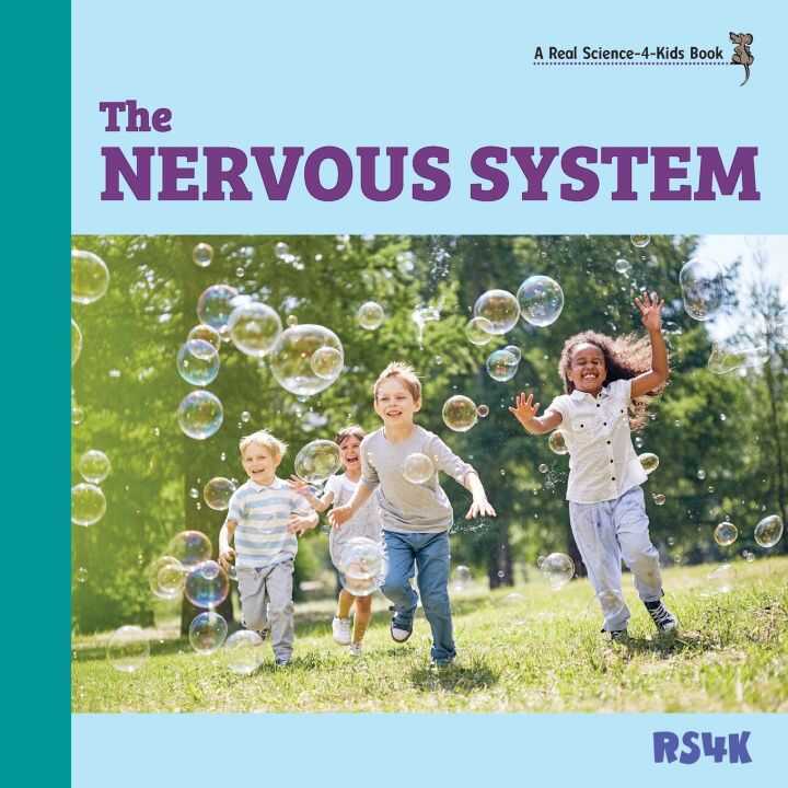 The Nervous System