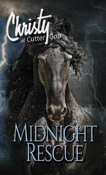 Midnight Rescue