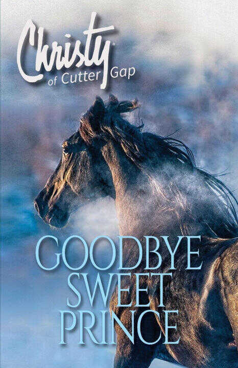 Goodbye Sweet Prince