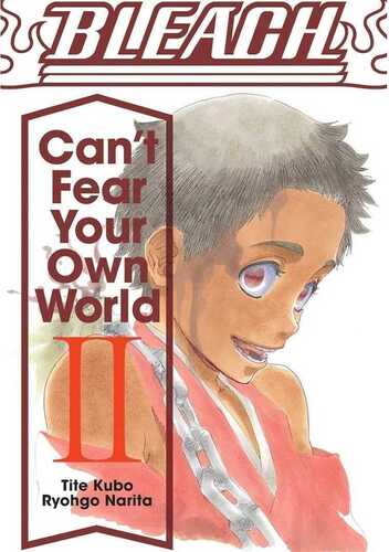 Bleach: Can't Fear Your Own World, Vol. 2