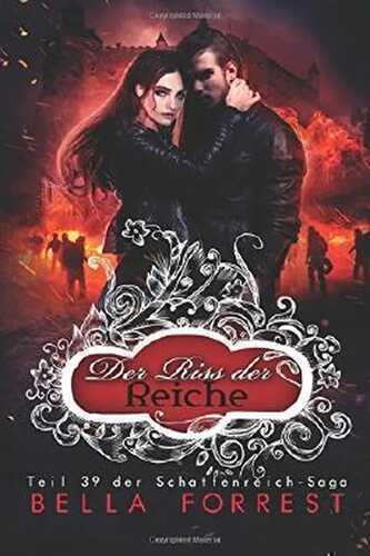 Der Riss der Reiche