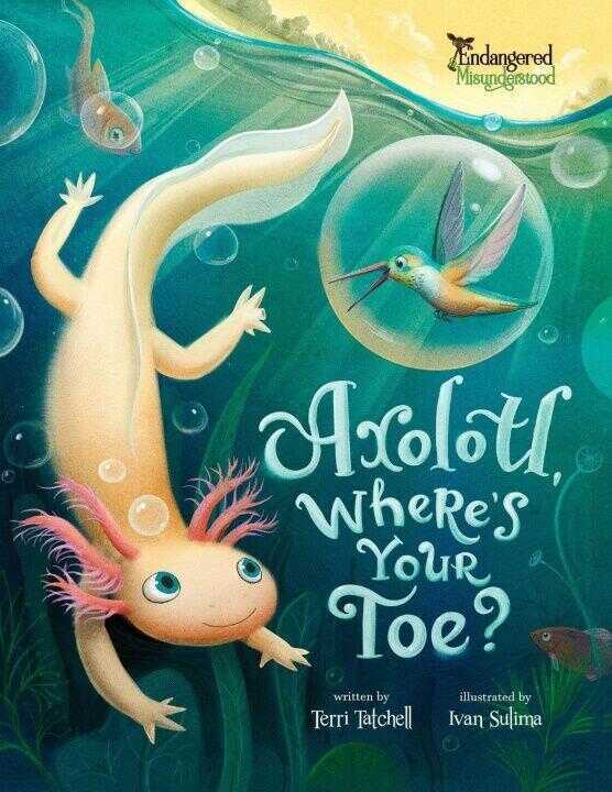 Axolotl, Where's Your Toe?