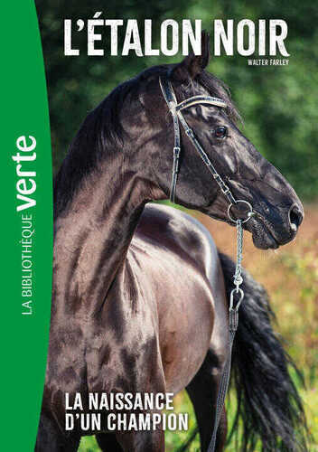 L'Etalon noir NED 19
