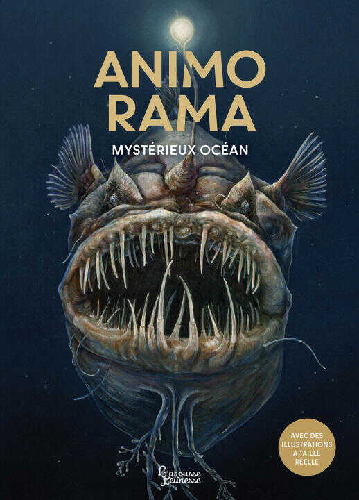 ANIMO RAMA Mystérieux Océan