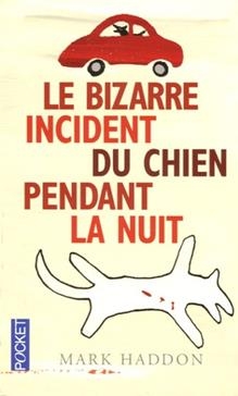 Le Bizarre Incident du Chien Pendant la Nuit