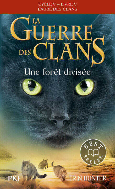 La guerre des Clans - Cycle V L'aube des clans - tome 5 Une forêt divisée