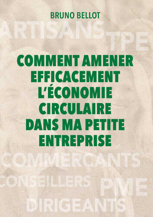 Comment Amener Efficacement Economie Cir