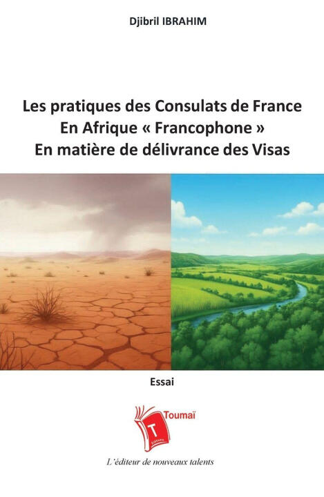 Les pratiques des consulats de France dans la zone d'Afrique francophone en matière de délivrance des visas ou l'art de refuser un visa par service in