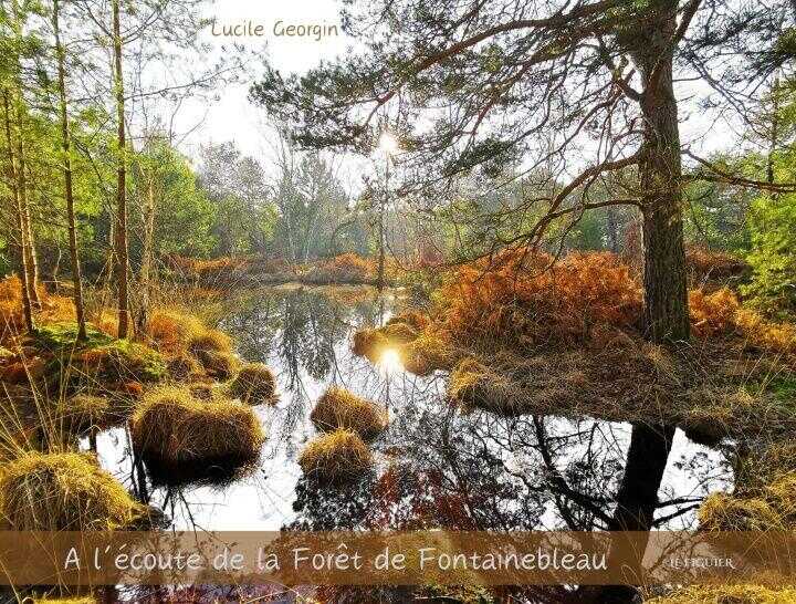 A l'écoute de la forêt de Fontainebleau — Georgin