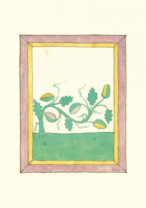 Carnet - Livre des herbes