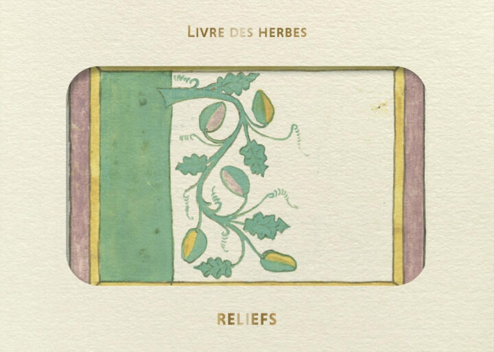 Livre d'images - Livre des herbes — Johannes HARTLIEB