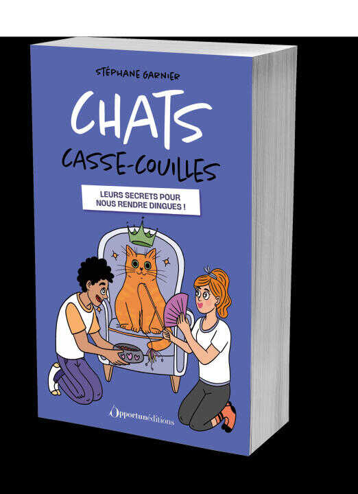 Chats casse-couilles