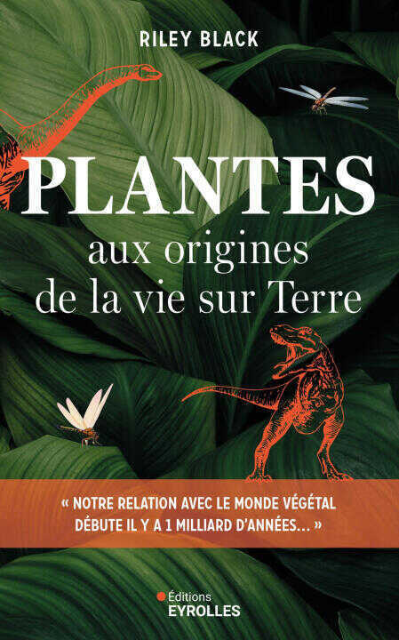 Plantes — BLACK